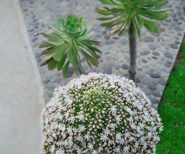 El Susurro Ecoliving Guincho Βίλα