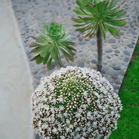 El Susurro Ecoliving Guincho Villa